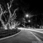 THINGS TO DO AND SEE IN FORTITUDE VALLEY